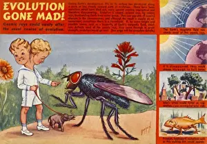 Evolutionary Science History Stampe: Cosmic Mutation