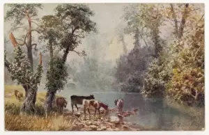 Ivy Covered Trees Stampe: Cows & River Sid