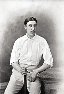 Cricketatore, Cervello