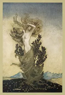 Classical Mythology Images Stampe: Daphne Becomes a Tree