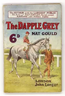 Equine Art Prints Stampe: THE DAPPLE GREY