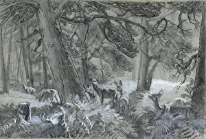 Raymond Sheppard Artwork Stampe: Deer in the forest