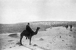 Desert Landscapes Stampe: The Desert