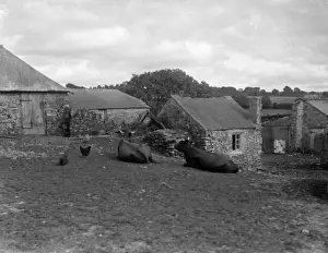 Farming In Britain Stampe: Devon Farmyard