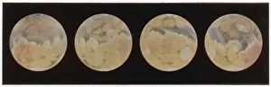 Planetary Astronomy Images Stampe: Different aspects of the planet Mars