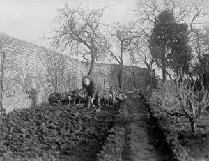 Vegetable Patch Stampe: Digging the Garden