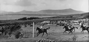 County Kerry Ireland Stampe: Dingle Races
