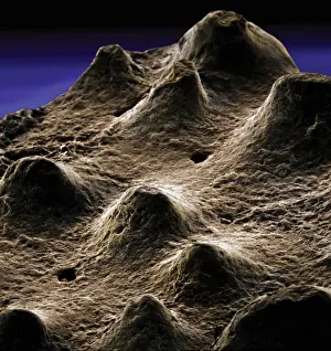 Scanning Electron Microscope Image Stampe: Dinosaur eggshell
