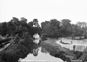 Early 1900s Photography Ireland Stampe: On the Dodder, Co. Dublin