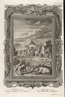 Christian Art Prints Stampe: Dogs Return to Vomit
