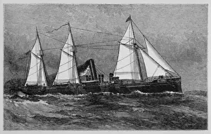Vintage Marine Transport Stampe: Dolphin Steamer
