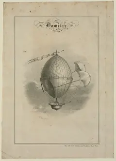 Balloon Flight Stampe: Domitor
