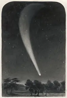 Natural History Images Stampe: Donatis Comet