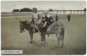 Lancashire Historical Images Stampe: Donkeys at Blackpool