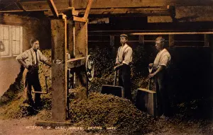 Historical Hop Cultivation Stampe: Drying Hops 1906