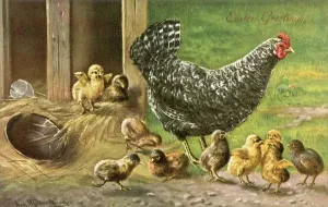 Easter Postcard Stampe: Proverbs / Counting Chicks