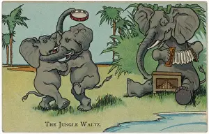 Vintage Elephant Illustrations Stampe: Elephants Dancing