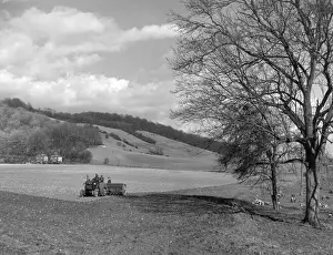 England Countryside Views Stampe: England / The North Downs