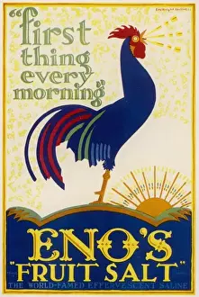 19th Century Medicine Stampe: Enos Cockerel