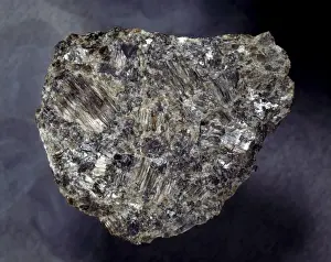 Natural History Museum Stampe: Enstatite