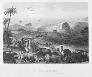 Bible Story Illustrations Online Stampe: Entry into the ark