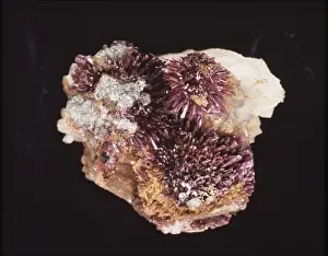 Natural History Museum Specimens Stampe: Erythrite