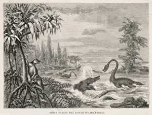Extinct Sea Creatures Stampe: Extinct Plesiosaur
