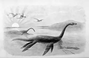 Dinosaur Fossil Discovery Stampe: Extinct / Plesiosaurus