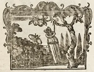 Historical Garden Scene Stampe: Fable / the Two Bees