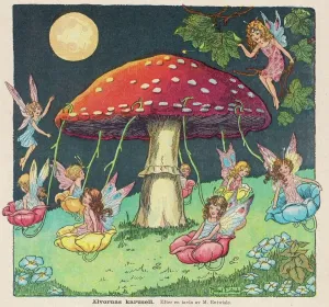 Circolo dei Fai Babbino