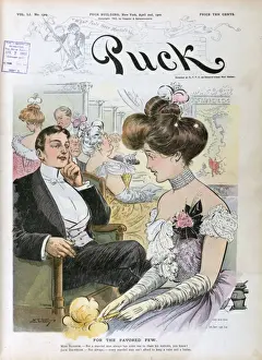 Puck Magazine Cartoons Online Stampe: For the favored few