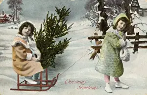 Winter Scene Stampe: Fetching Tree on Sledge