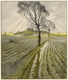 Autumn Fields Stampe: Fields in Autumn