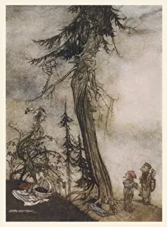 Historical Art Prints Online Stampe: Fir Tree and Bramble