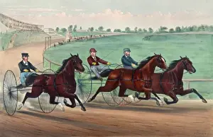 Vintage Horse Racing Art Stampe: Well together at the first turn