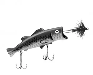 Fishing Plug