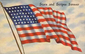Stendardo degli Stati Uniti d'America