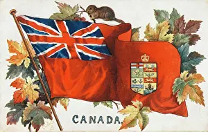 Stampe di La bandiera del Canada, completa con foglie di quercia autunnali e un castoro. Mostra l'insegna delle varie province canadesi sullo scudo della Corona Britannica sopra la corona Immagini Correlate Stampe: Bandiera del Canada