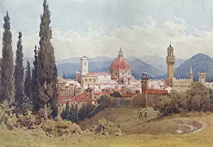 Historic Florentine Architecture Stampe: Florence / Distant View