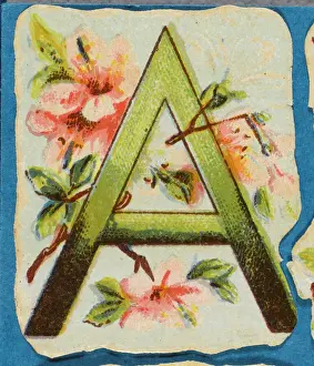 FLOWER A
