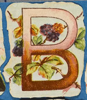 Vintage Flower Art Stampe: FLOWER B