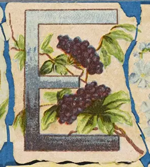 Antique Flower Art Stampe: FLOWER E