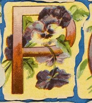Botanical Garden Art Prints Stampe: FLOWER P