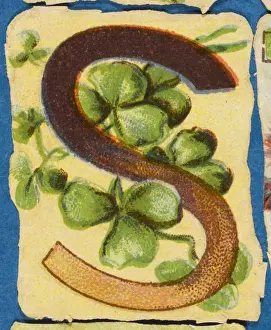 Watercolor Flower Art Stampe: FLOWER S