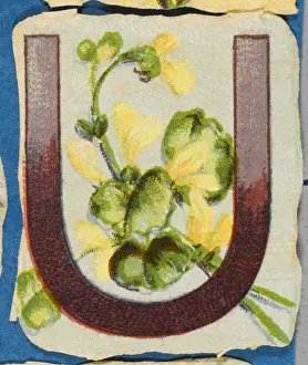Vintage Floral Art Stampe: FLOWER U
