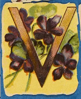 Flower Still Life Paintings Stampe: FLOWER V
