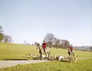 Fox Hunting In England Stampe: FOX HUNT