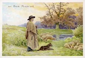 19th Century Agriculture Stampe: French Shepherd