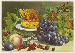 Summer Fruits Stampe: Fruit / Melon, Grapes Etc