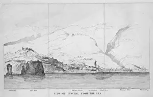 Funchal Madeira Stampe: Funchal Madeira C19Th